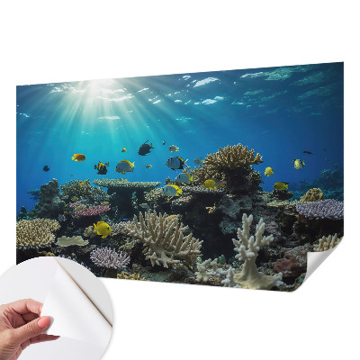 3D fototapet med motiv av undervattensvärlden
