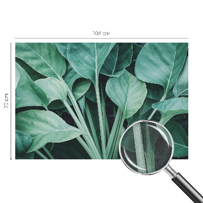Fototapet för barn med grön naturdesign