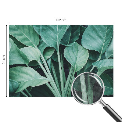 Fototapet för barn med grön naturdesign