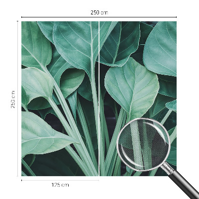 Fototapet för barn med grön naturdesign