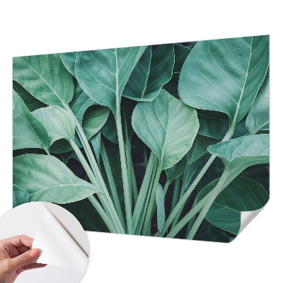 Fototapet för barn med grön naturdesign