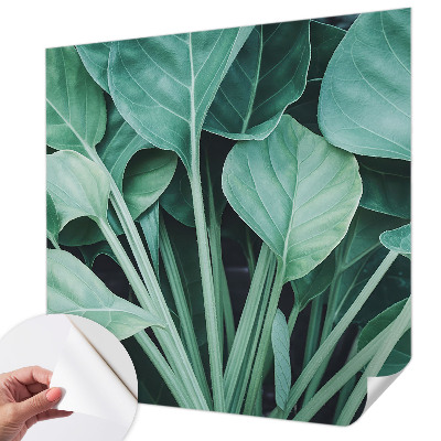 Fototapet för barn med grön naturdesign