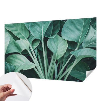 Fototapet för barn med grön naturdesign
