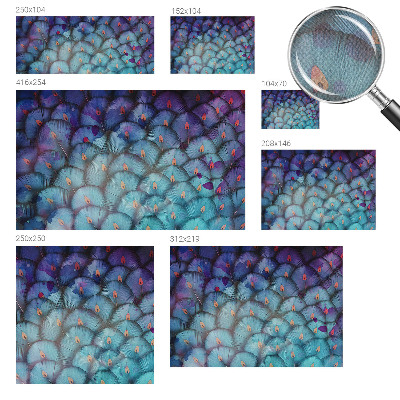 Peel and stick fototapet Färgglada fjädrar