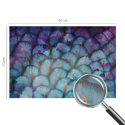 Peel and stick fototapet Färgglada fjädrar