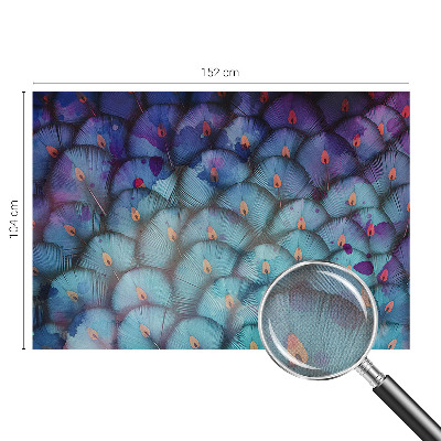 Peel and stick fototapet Färgglada fjädrar