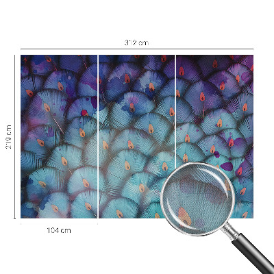 Peel and stick fototapet Färgglada fjädrar