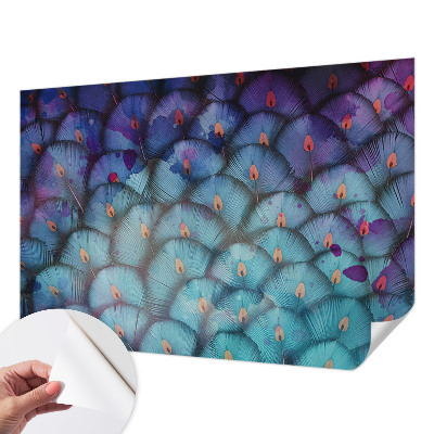 Peel and stick fototapet Färgglada fjädrar