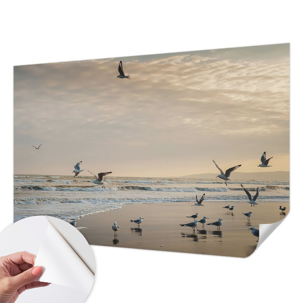 Självhäftande fototapet Lugn vid havet