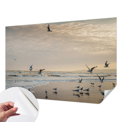 Självhäftande fototapet Lugn vid havet