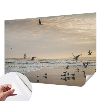 Självhäftande fototapet Lugn vid havet