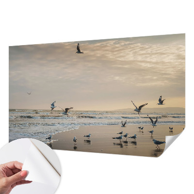 Självhäftande fototapet Lugn vid havet