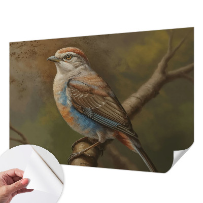 Självhäftande fotovägg Fågelporträtt