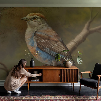 Självhäftande fotovägg Fågelporträtt