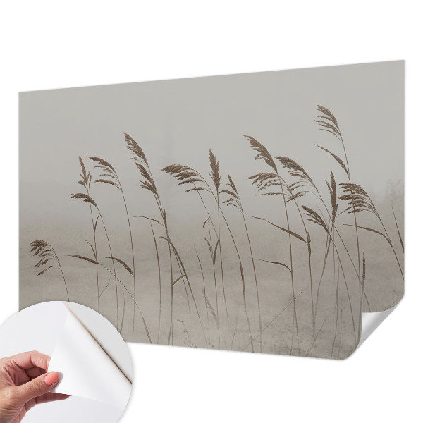 Fototapet barnrum Gräs i dimman