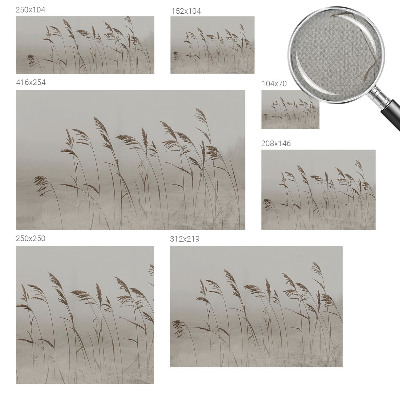 Fototapet barnrum Gräs i dimman