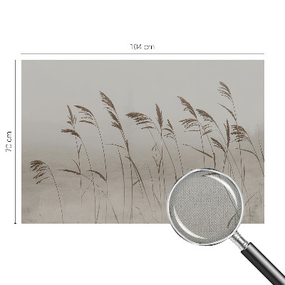 Fototapet barnrum Gräs i dimman