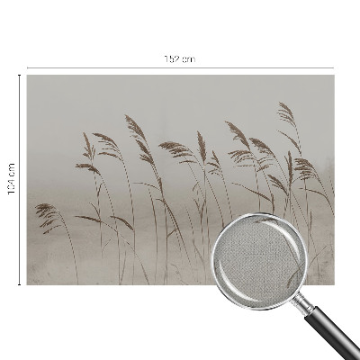 Fototapet barnrum Gräs i dimman