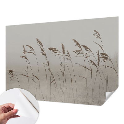 Fototapet barnrum Gräs i dimman