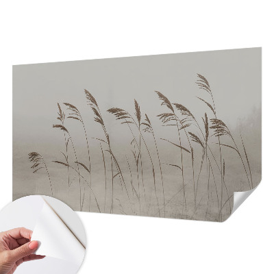 Fototapet barnrum Gräs i dimman