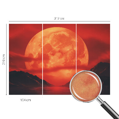 Självhäftande fotovägg Nattfenomen