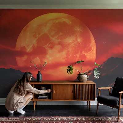 Självhäftande fotovägg Nattfenomen