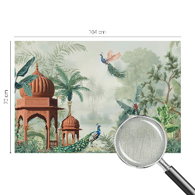 Självhäftande fototapet Påfågelträdgårdar