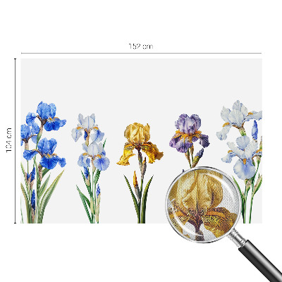 Peel and stick fototapet med motiv av irisblommor