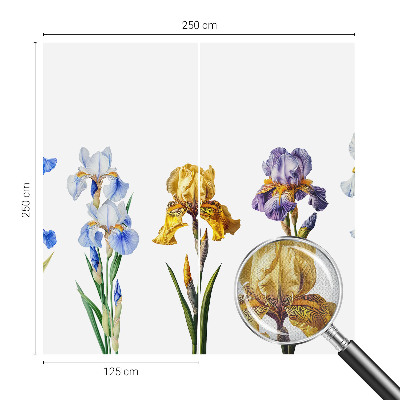Peel and stick fototapet med motiv av irisblommor