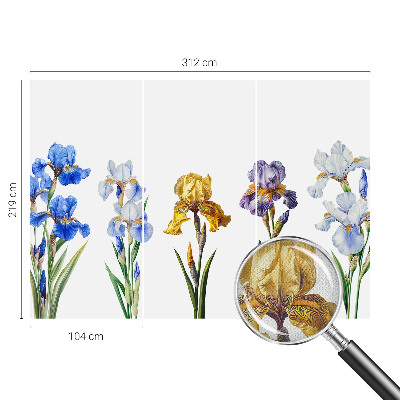 Peel and stick fototapet med motiv av irisblommor