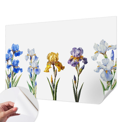 Peel and stick fototapet med motiv av irisblommor