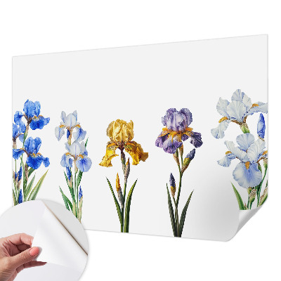 Peel and stick fototapet med motiv av irisblommor