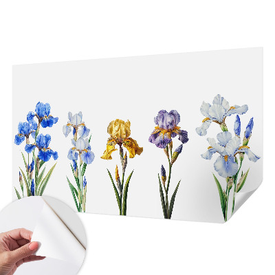 Peel and stick fototapet med motiv av irisblommor