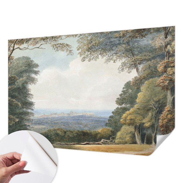 3D fototapet Skogsmark