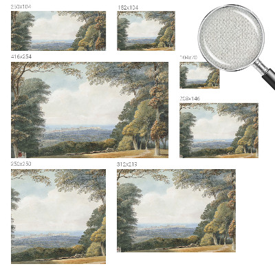 3D fototapet Skogsmark