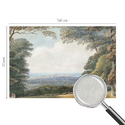 3D fototapet Skogsmark