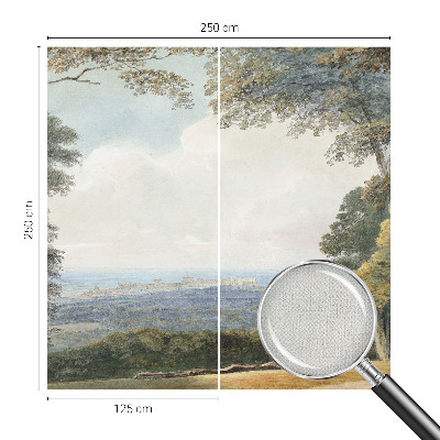 3D fototapet Skogsmark