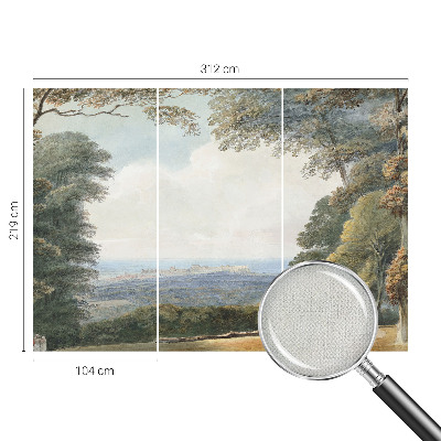 3D fototapet med motiv av skogsmark