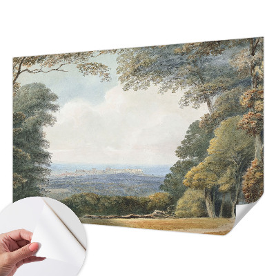 3D fototapet Skogsmark