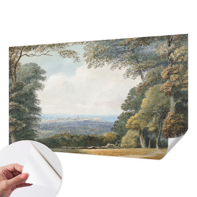 3D fototapet med motiv av skogsmark
