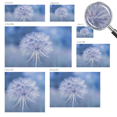 Självhäftande fotovägg Blå delikatess