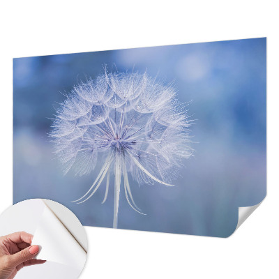 Självhäftande fotovägg Blå delikatess