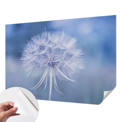 Självhäftande fotovägg Blå delikatess