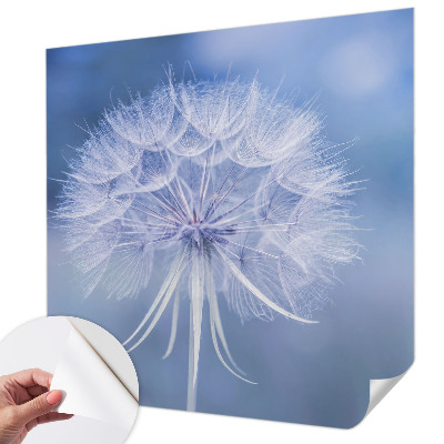 Självhäftande fotovägg Blå delikatess