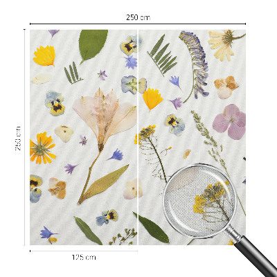 3D fototapet med motiv av vårblommor