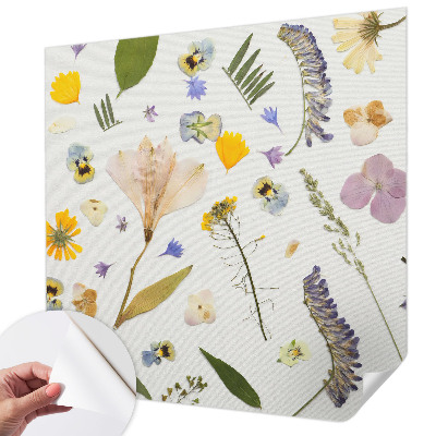 3D fototapet med motiv av vårblommor