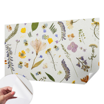 3D fototapet med motiv av vårblommor