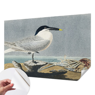 Fototapet barn med ett elegant ornitologiskt motiv