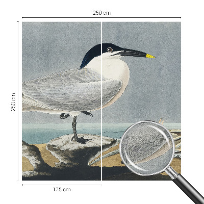 Fototapet barn Ornitologisk elegans