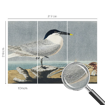 Fototapet barn Ornitologisk elegans